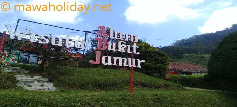 Bukit Jamur Rancabolang Ciwidey Bandung