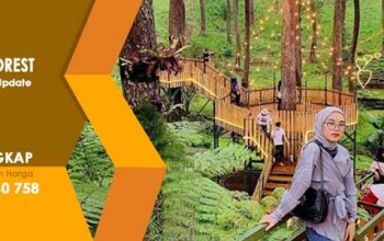 Review Orchit Forest Lembang Lengkap Update